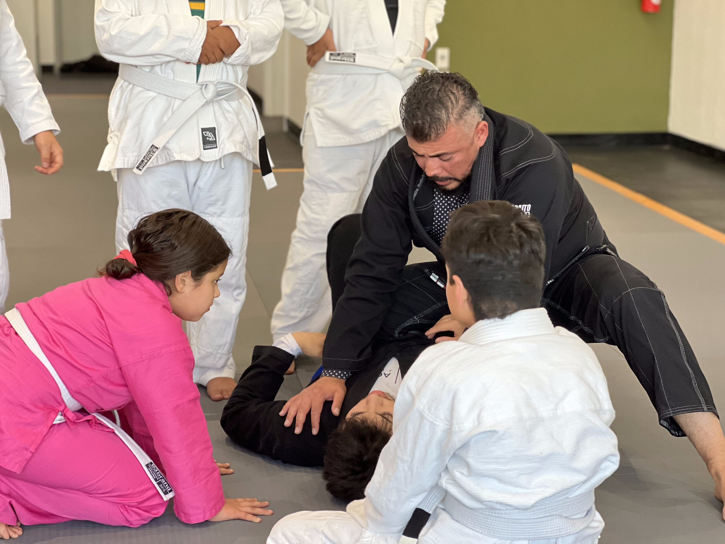 Academy Jiu Jitsu webform image